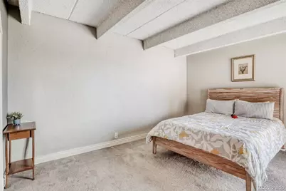 1433 N Williams Street #1007, Denver, CO 80218 - Photo 20