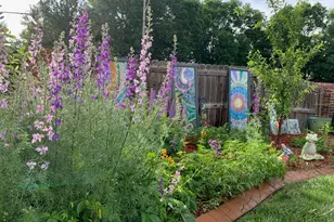 6810 Simms Ct, Arvada, CO 80004 - Photo 38