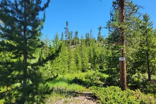 51 Gcr 6621, Grand Lake, CO 80447 - Photo 1