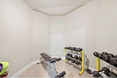 10665 Montecito Drive, Lone Tree, CO 80124 - Photo 34