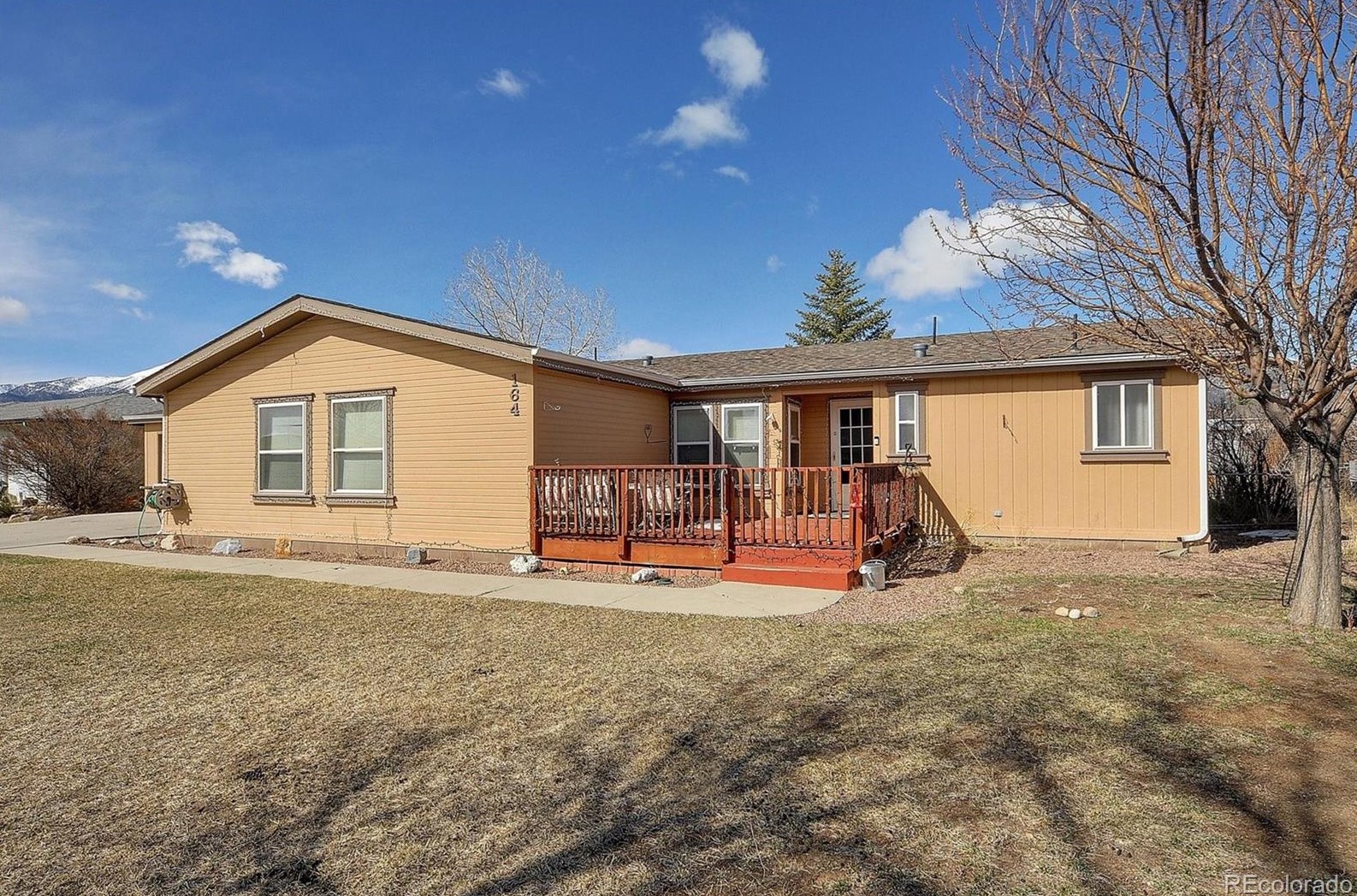 164 Robert Dr, Buena Vista, CO 81211-9145