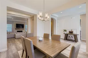 1105 Melting Snow Way, Castle Rock, CO 80109 - Photo 6