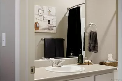 326 Jay Avenue, Windsor, CO 80550 - Photo 28