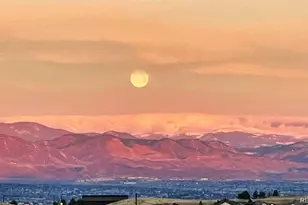 10837 Fox Sedge Way, Highlands Ranch, CO 80126 - Photo 46