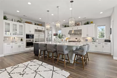 2684 Keepsake Way, Castle Rock, CO 80109 - Photo 8
