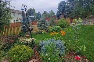 21837 Saddlebrook Ct, Parker, CO 80138 - Photo 34