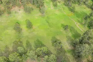 11840 Elkhorn Dr, Franktown, CO 80116 - Photo 34