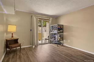 999 S Miller St, Denver, CO 80226 - Photo 14