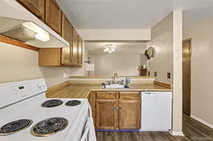 999 S Miller St, Denver, CO 80226 - Photo 12