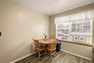 999 S Miller St, Denver, CO 80226 - Photo 10