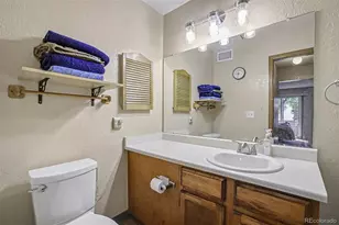 999 S Miller St, Denver, CO 80226 - Photo 16
