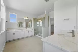 3993 Breakcamp Ct, Castle Rock, CO 80108 - Photo 22