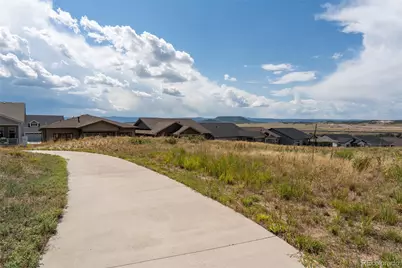 140 Leafy Aster Lane, Castle Rock, CO 80104 - Photo 40