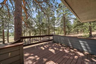 395 Spring Ranch Dr, Golden, CO 80401 - Photo 48