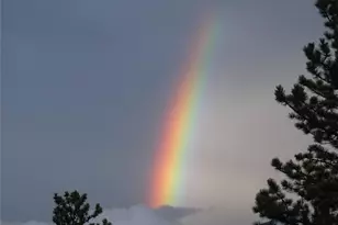 2080 Santa Fe Mountain Rd, Evergreen, CO 80439 - Photo 48