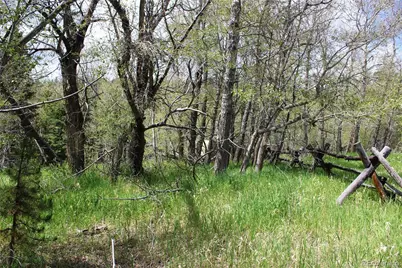 00 Quartz Hill Road, Central City, CO 80427 - Photo 20