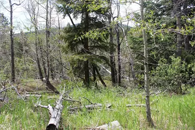 00 Quartz Hill Road, Central City, CO 80427 - Photo 24