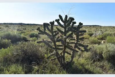 000 Lizard Lane, Gardner, CO 81040 - Photo 6