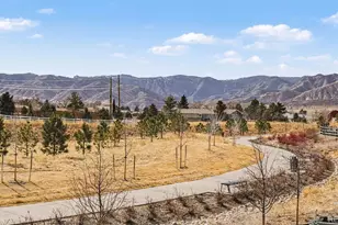 9212 Star Fall Cir, Littleton, CO 80125 - Photo 4