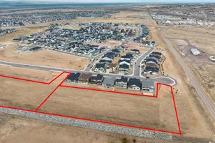 8599 Yellowcress St, Littleton, CO 80125 - Photo 38