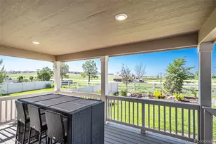 6193 Saddle Bow Ave, Parker, CO 80134 - Photo 36