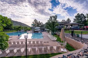 132 Willowleaf Dr, Littleton, CO 80127 - Photo 48