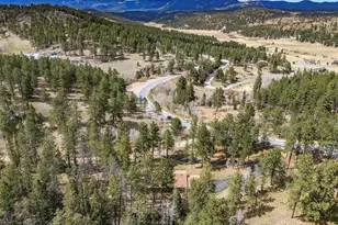 14 Aspen Dr, Bailey, CO 80421 - Photo 16