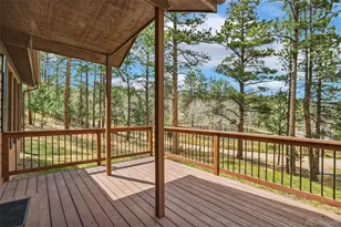 14 Aspen Dr, Bailey, CO 80421 - Photo 4