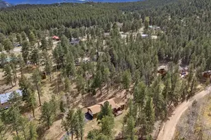 14 Aspen Dr, Bailey, CO 80421 - Photo 18