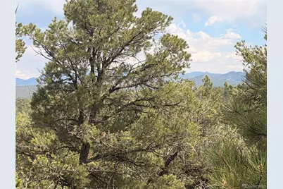 000 41st Trail, Cotopaxi, CO 81223 - Photo 10