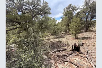 000 41st Trail, Cotopaxi, CO 81223 - Photo 8
