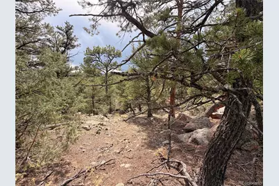 000 41st Trail, Cotopaxi, CO 81223 - Photo 20