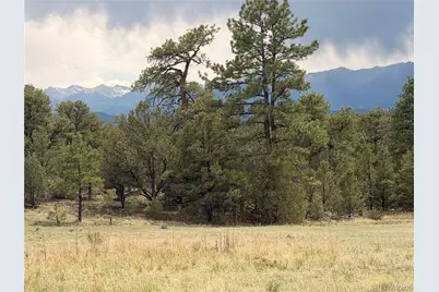 000 41st Trail, Cotopaxi, CO 81223 - Photo 1