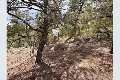 000 41st Trail, Cotopaxi, CO 81223 - Photo 6