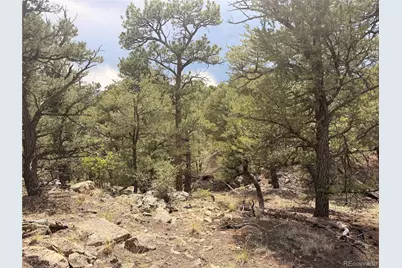 000 41st Trail, Cotopaxi, CO 81223 - Photo 16