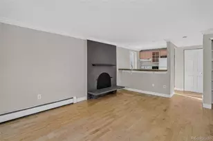 1125 N Washington St, Denver, CO 80203 - Photo 6