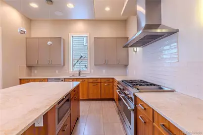 1745 N Emerson Street, Denver, CO 80218 - Photo 12