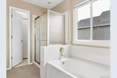 2348 Switch Grass Way, Castle Rock, CO 80109 - Photo 24