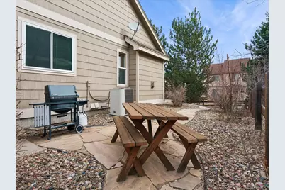 2348 Switch Grass Way, Castle Rock, CO 80109 - Photo 40