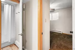 893 Straight Creek Dr, Dillon, CO 80435 - Photo 8