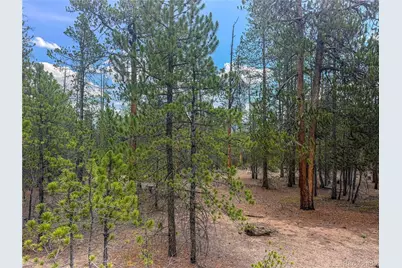 569 Birch Drive, Leadville, CO 80461 - Photo 2