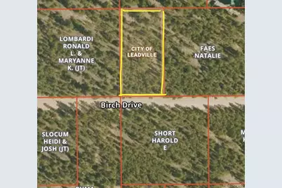 569 Birch Drive, Leadville, CO 80461 - Photo 4