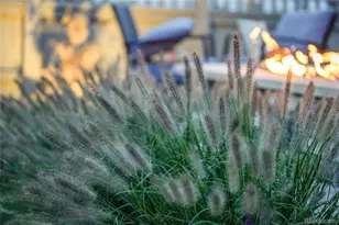 1589 Chestnut Ave, Erie, CO 80516 - Photo 30