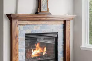 10231 Rustic Redwood Ln, Highlands Ranch, CO 80126 - Photo 6