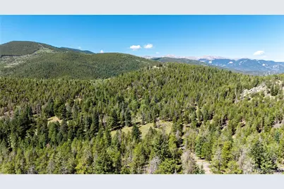 6929 Weasel Way, Evergreen, CO 80439 - Photo 34