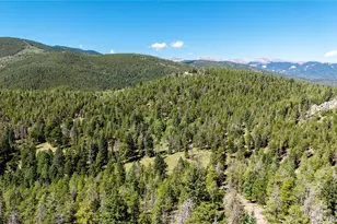 6929 Weasel Way, Evergreen, CO 80439 - Photo 34