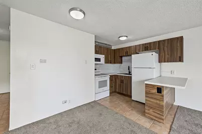 2500 S York Street #411, Denver, CO 80210 - Photo 16