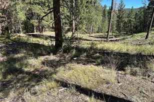 31266 Half Peak Trl, Pine, CO 80470 - Photo 40