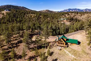 31266 Half Peak Trl, Pine, CO 80470 - Photo 36