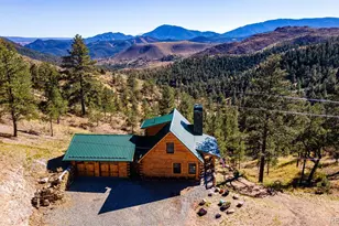 31266 Half Peak Trl, Pine, CO 80470 - Photo 32